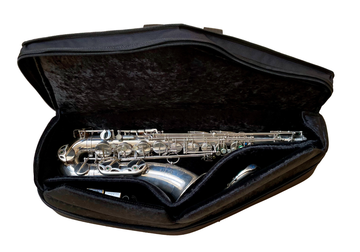 Reed & Squeak Shaped Alto Saxophone Case
