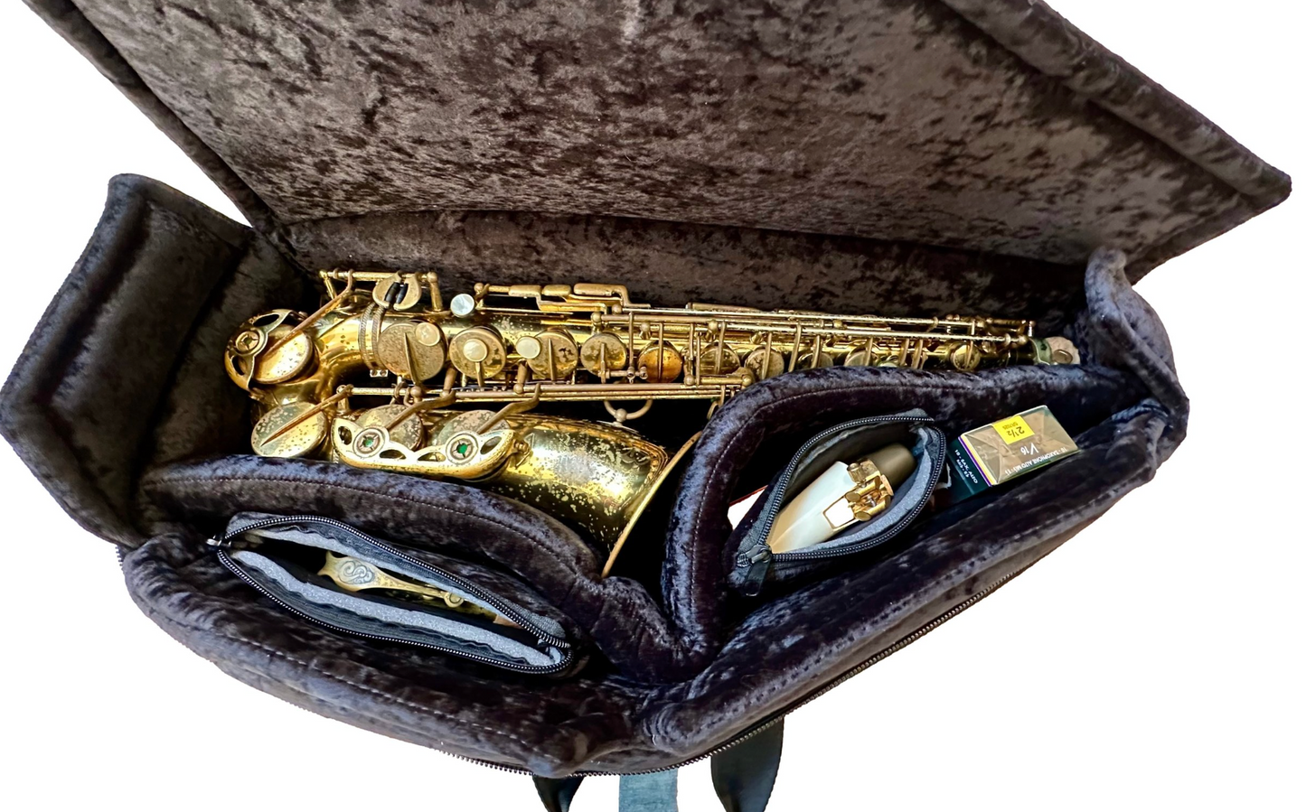 Reed & Squeak Shaped Alto Saxophone Case