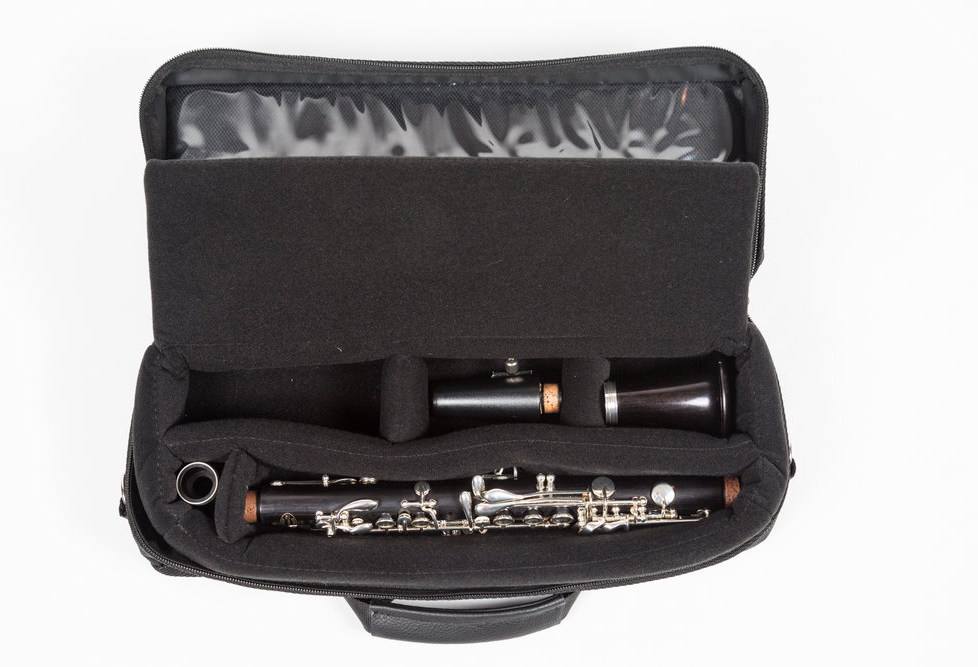 Reed & Squeak Single Case for Bb, A, C or Eb Clarinet