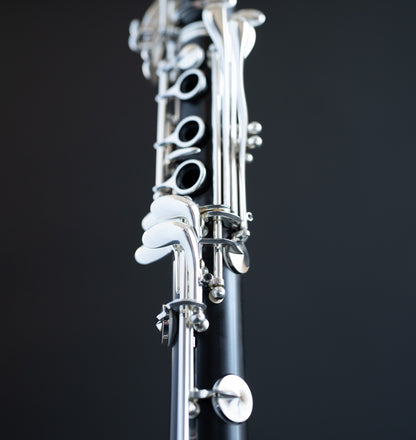 Buffet Festival Greenline Bb Clarinet 7792X5