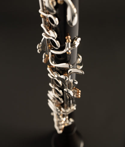 Firebird Bb Clarinet FB1684