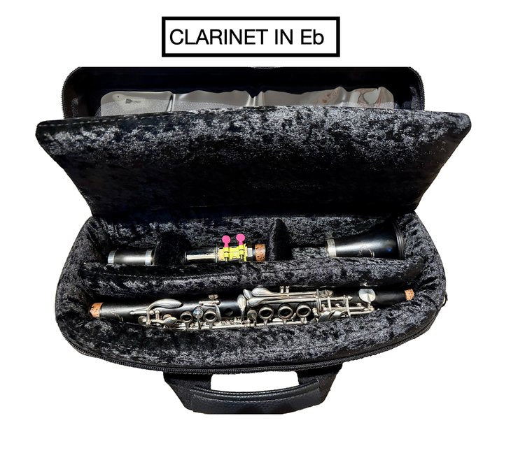Eb or C Clarinet Case